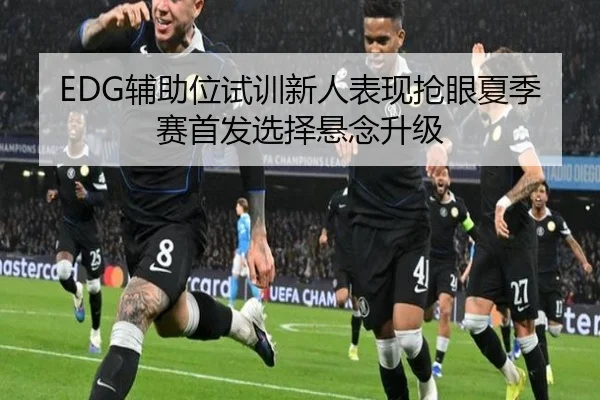 EDG辅助位试训新人表现抢眼夏季赛首发选择悬念升级